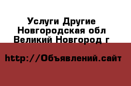 Услуги Другие. Новгородская обл.,Великий Новгород г.